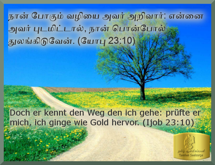 Bible Study