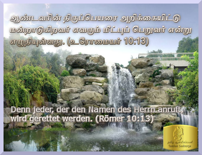 Bible Study