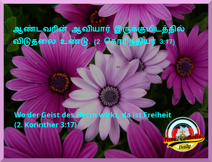 Bible Study